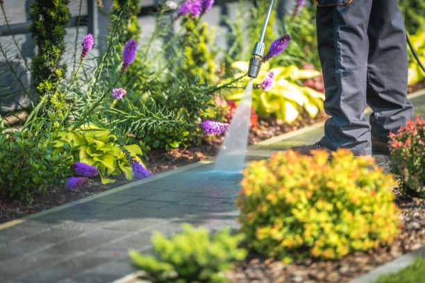 Best Winterizing Services  in Hidden Meadows, CA
